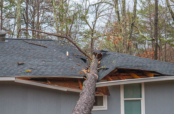 storm damage replacement services springfield illinois